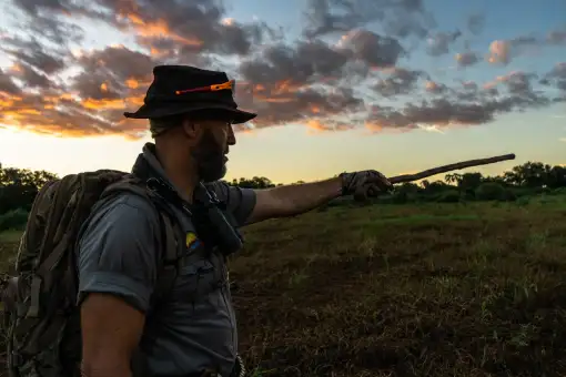 EcoTraining - Field Guide and Nature Training
