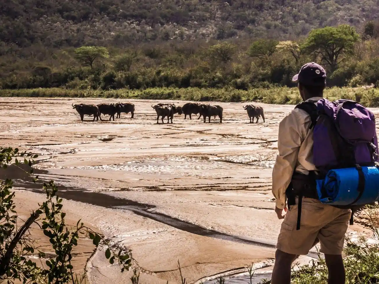 walking-safaris-in-imfolozi