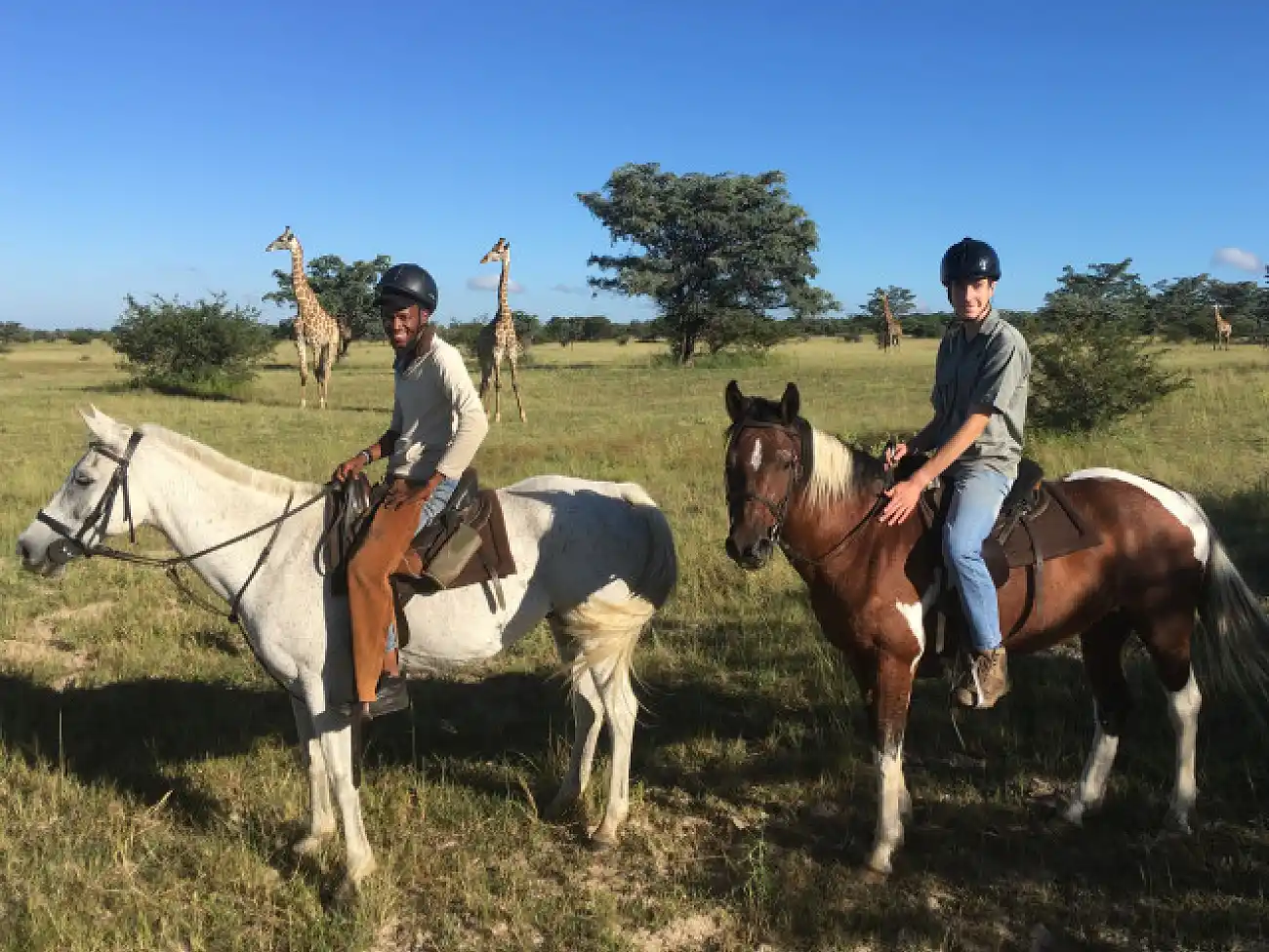 Horse Riding in Limpopo