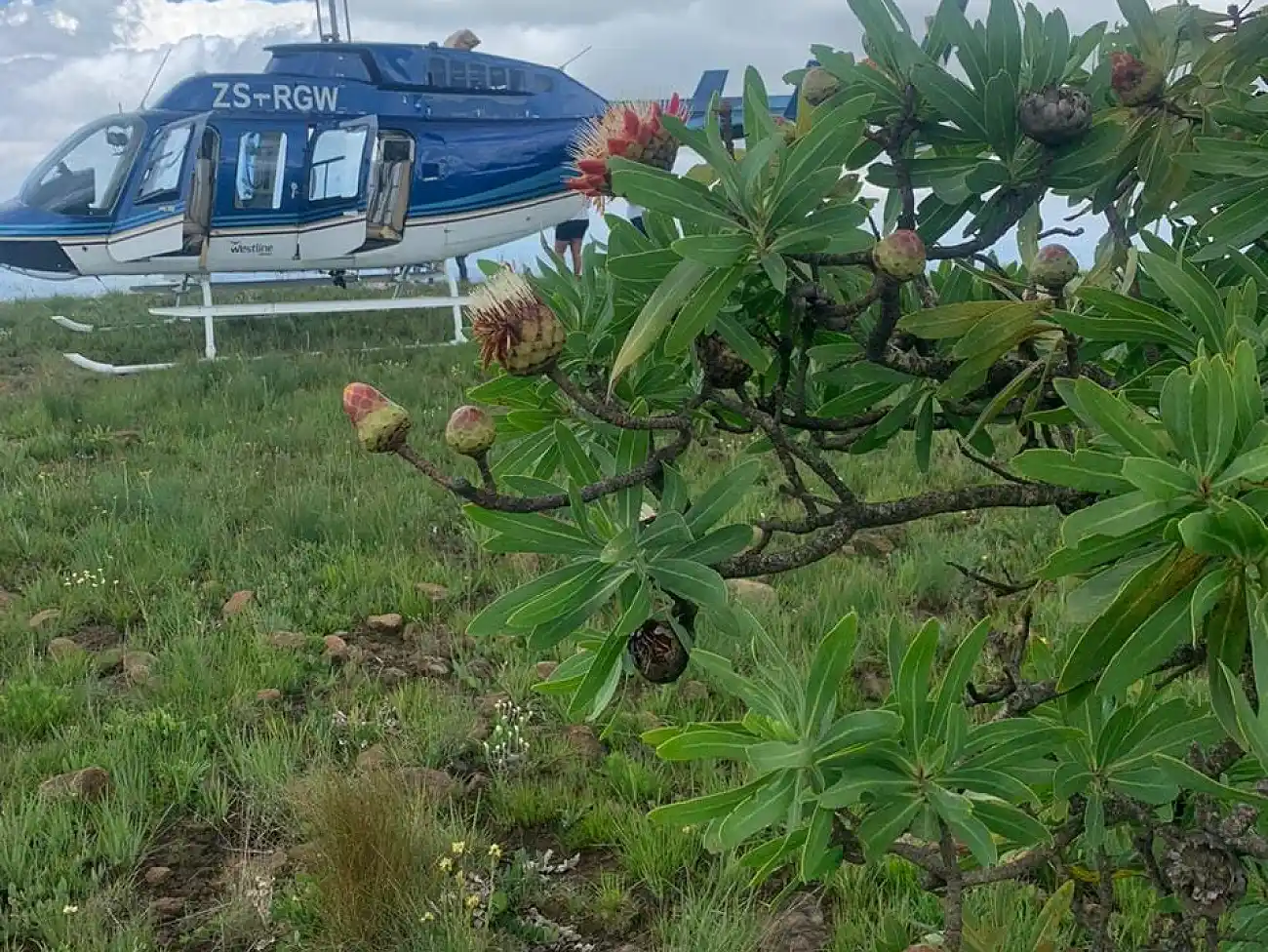 Helicopter Flights in the Drakensberg