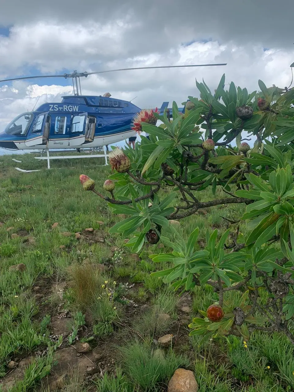 Helicopter Flights