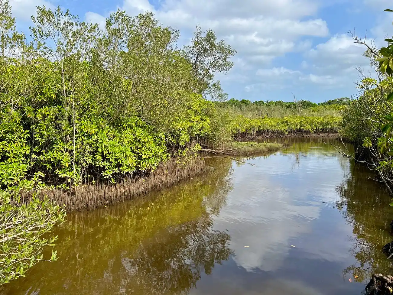 Slackpacking in the Umlalazi Nature Reserve 