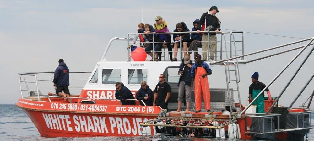 White Shark Projects - Shark Cage Diving