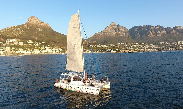 Wild Horizons Adventures - Boat Charters