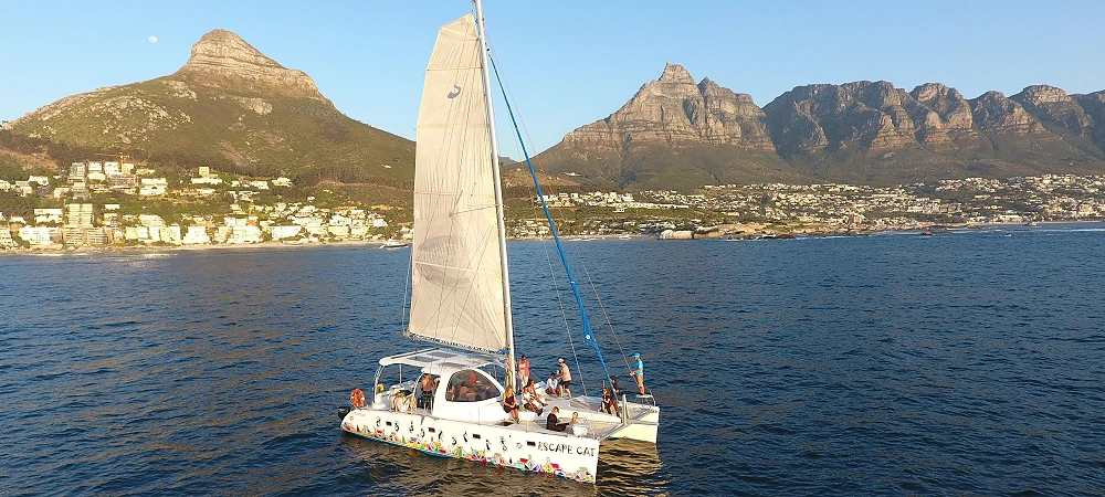 Wild Horizons Adventures - Boat Charters