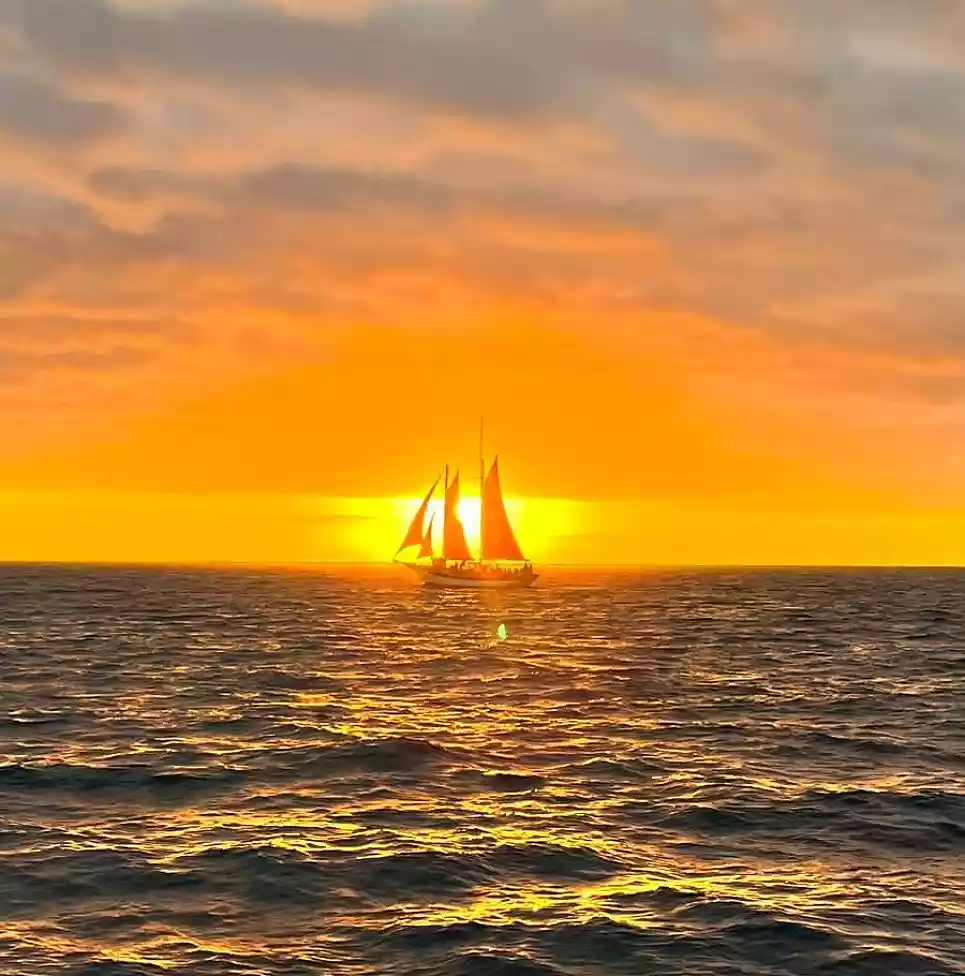 8 Day Garden Route Honeymoon Adventure - Western Cape