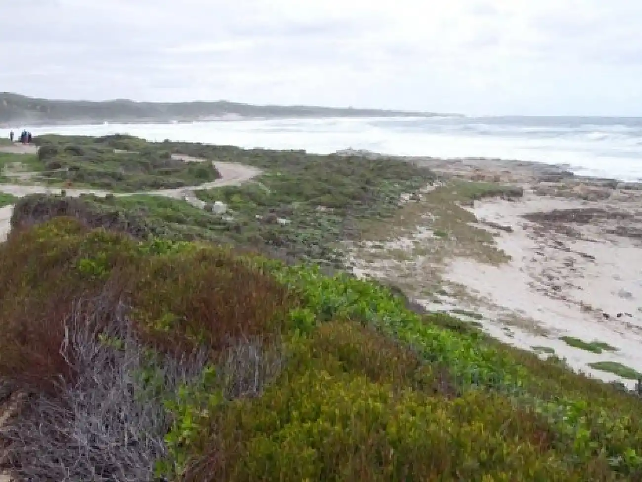 Zip Lining in Jeffreys Bay 