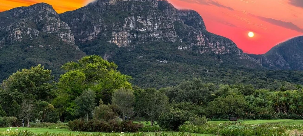 Coast to Coast Kirstenbosch - Wine Walks