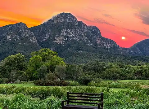 Coast to Coast Kirstenbosch - Wine Walks