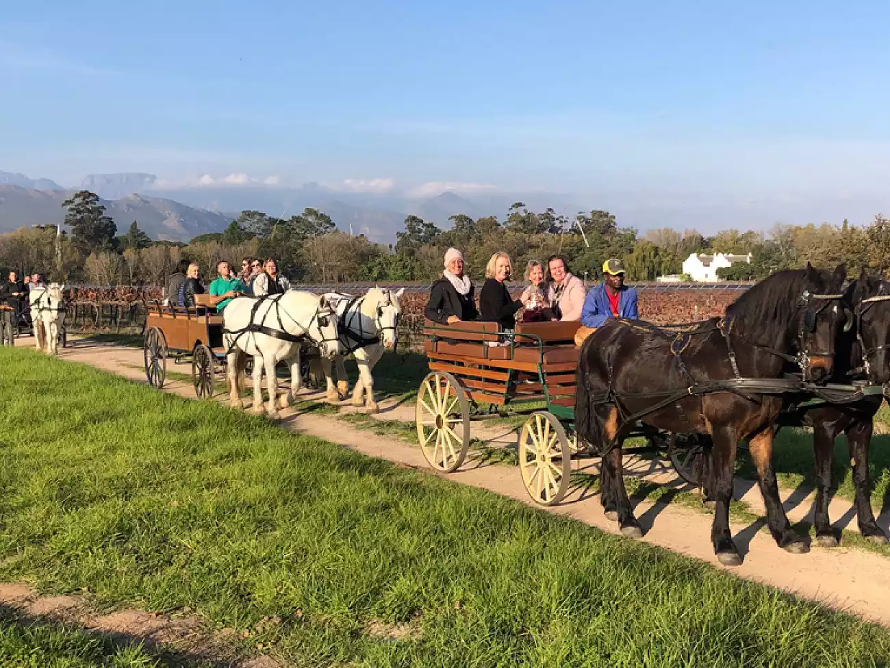 Carriage Rides in the Drakenstein mountains