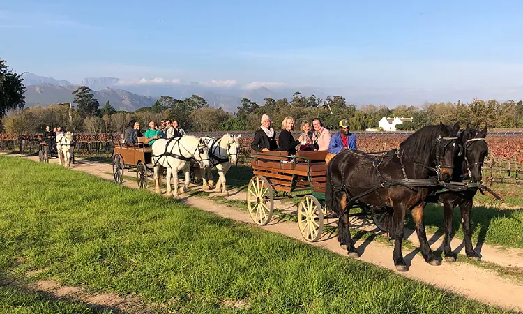 Wine Valley Adventures - Carriage Rides