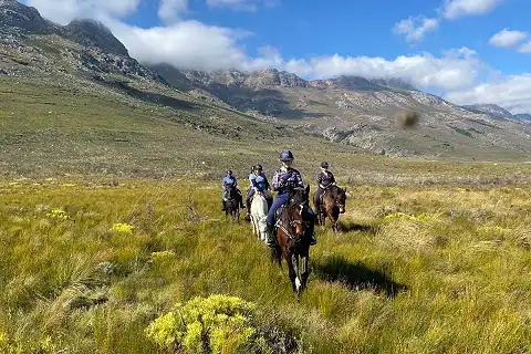 Wine Valley Adventures - Horse Safaris
