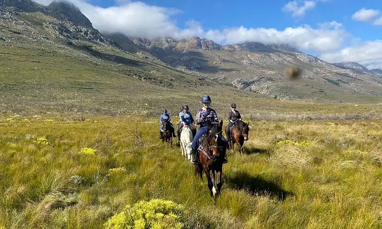 Wine Valley Adventures - Horse Safaris