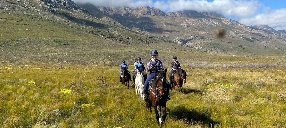 Wine Valley Adventures - Horse Safaris