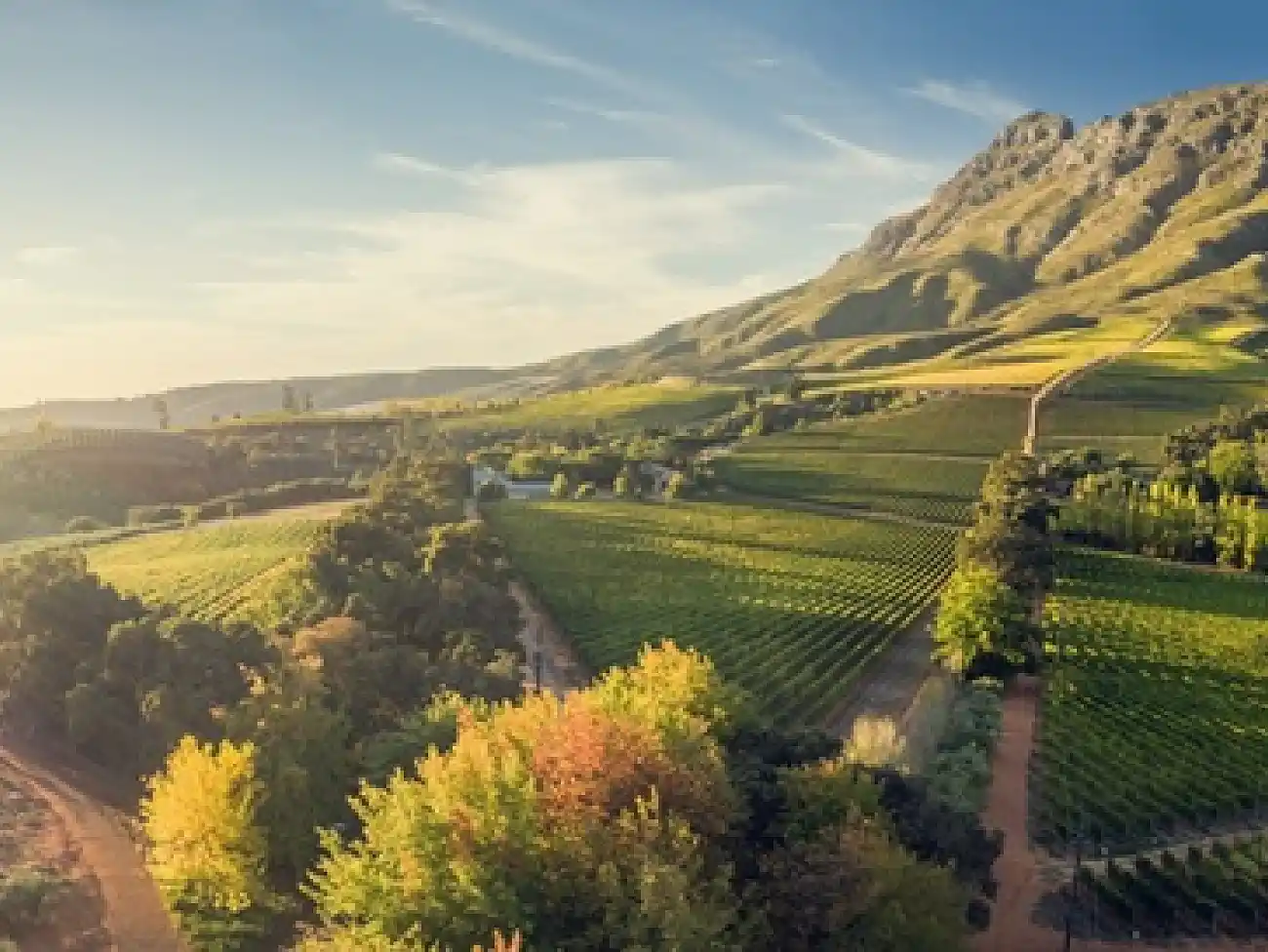 Wine Walks in the Drakenstein Mountains: