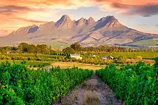 Wine Walks