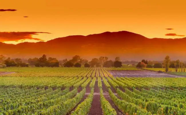 {def_description_image_text}