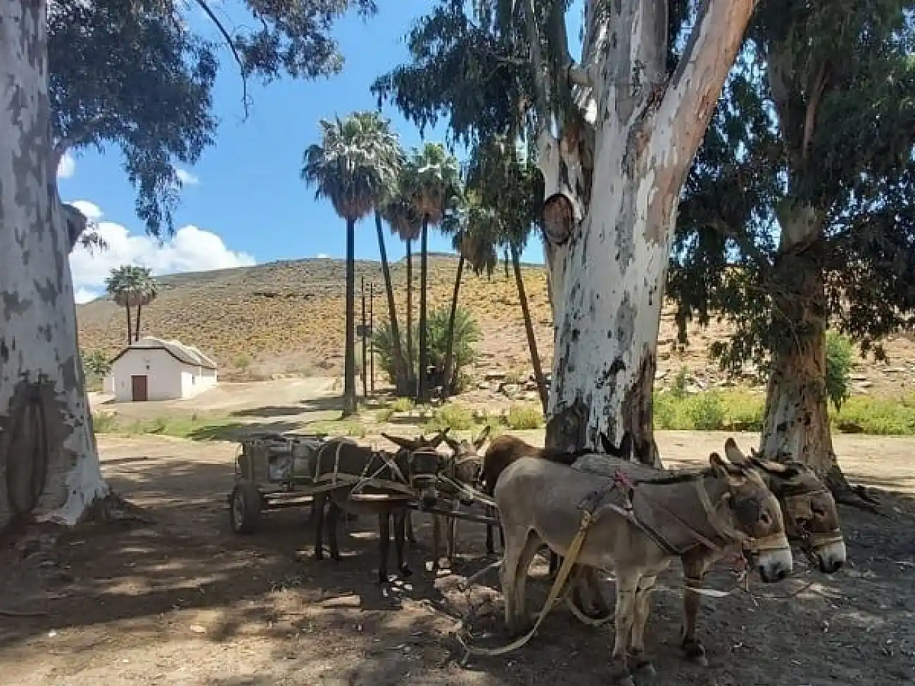 Slackpacking in Wupperthal