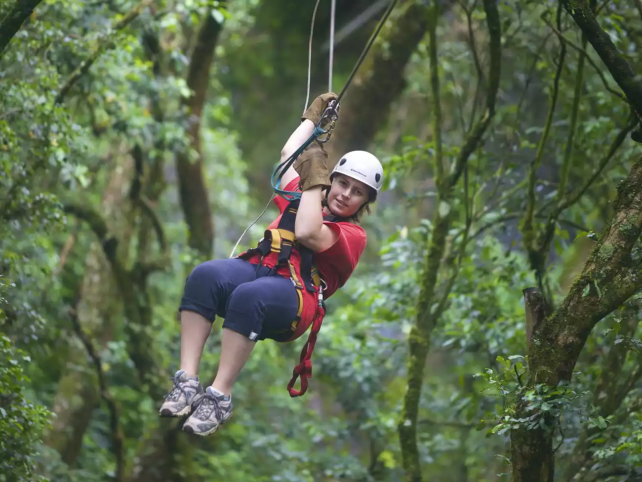 Canopy Tours in Grabouw