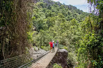 Graskop Lift Company - Bridge Walk