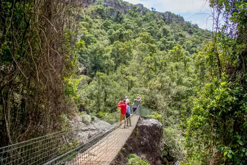 Graskop Lift Company - Bridge Walk