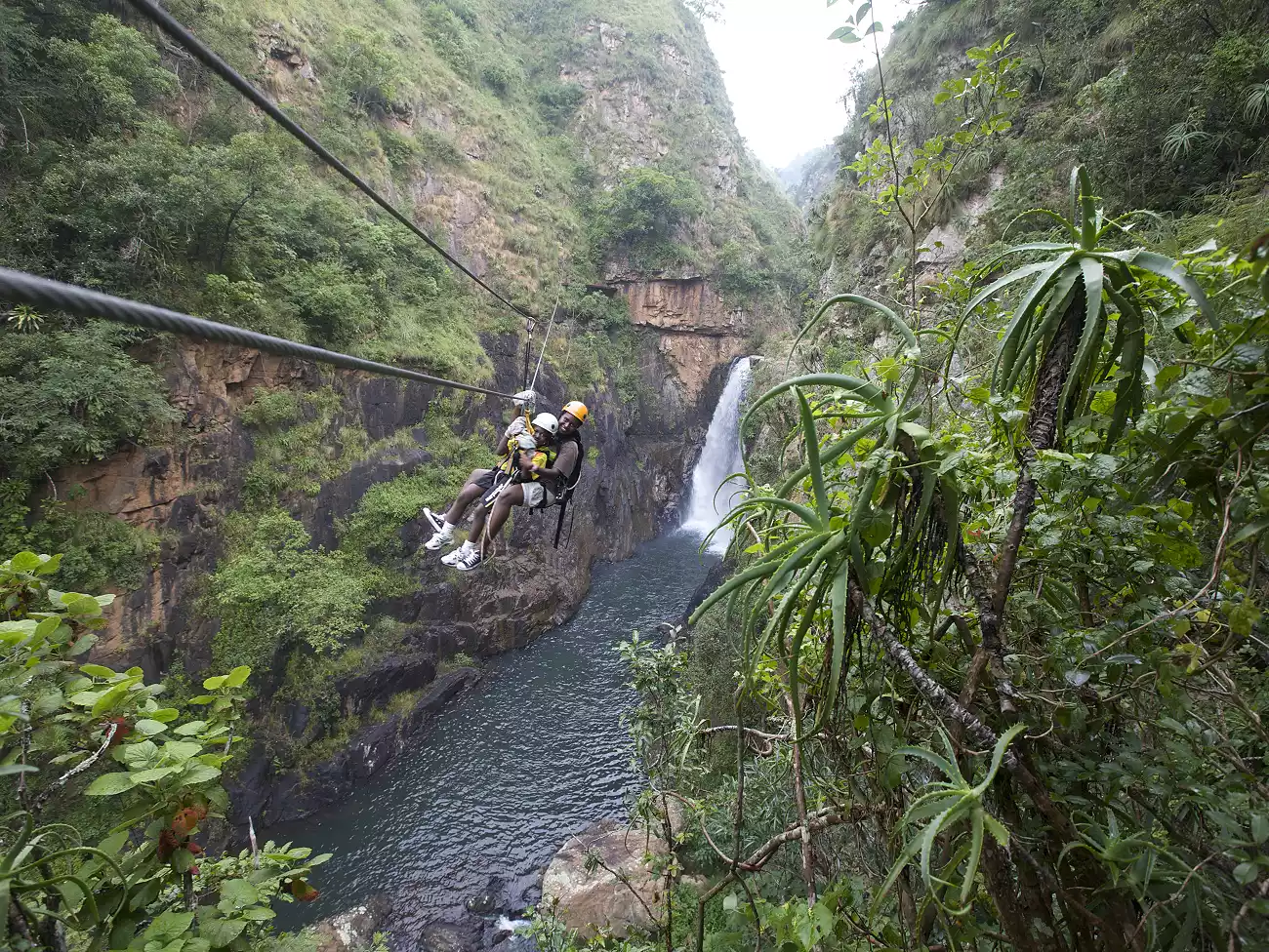 Zip Line in Magoebaskloof