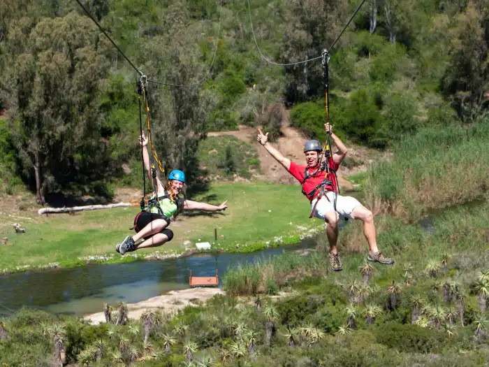 Zip Line