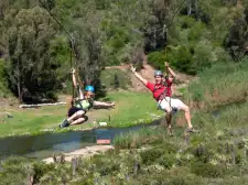 Zip Line