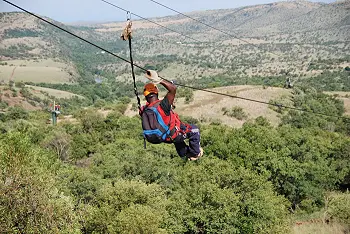 Zip Line