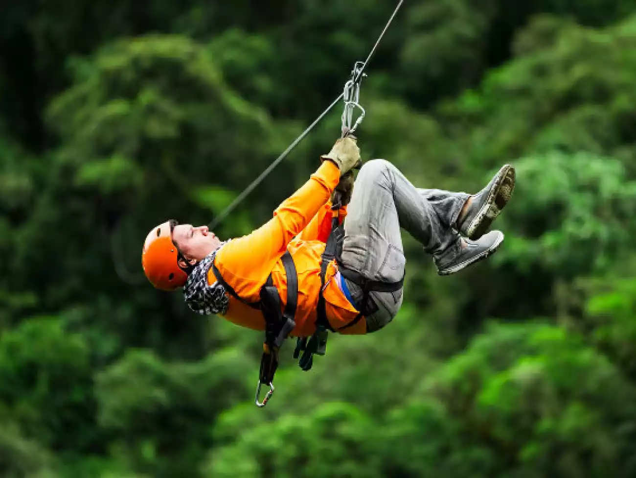 Zip Lining in Hermanus 