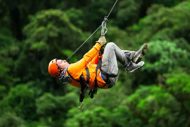 Zip Line