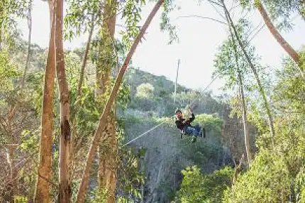 SA Forest Adventures Hermanus - Zipline