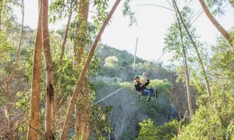 SA Forest Adventures Hermanus - Zipline