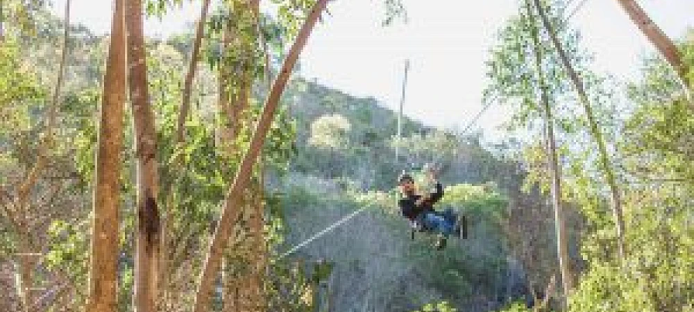 SA Forest Adventures Hermanus - Zipline