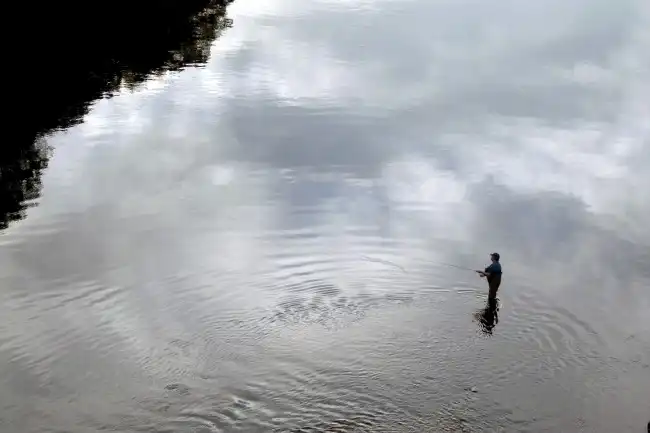Fly Fishing
