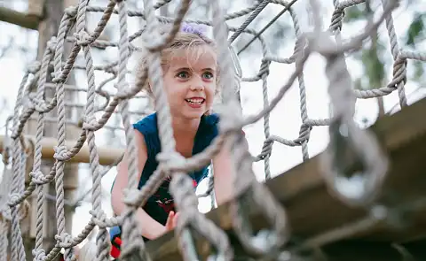 Acrobranch Adventure Park - Cape Town