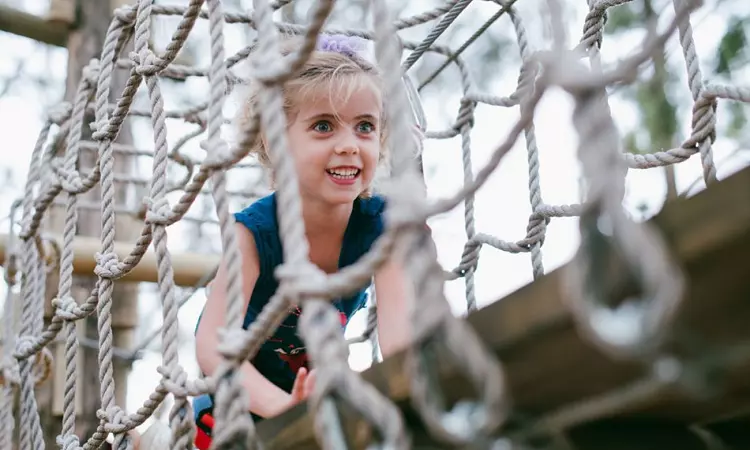 Acrobranch Adventure Park - Cape Town