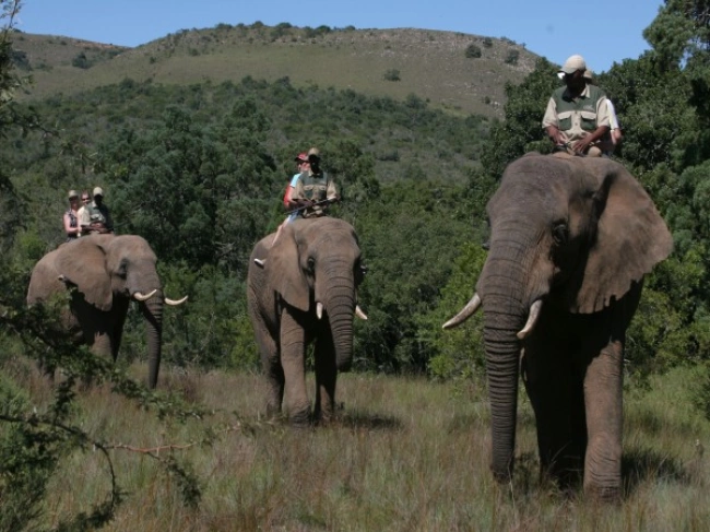 {def_description_image_text}