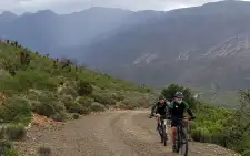 Bicycle Tours