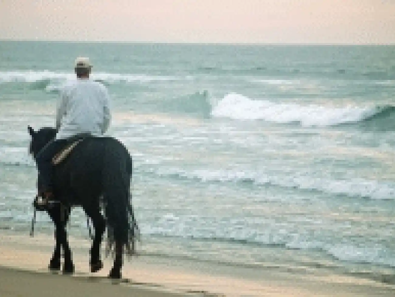Horse Riding at the Wild Coast Sun 
