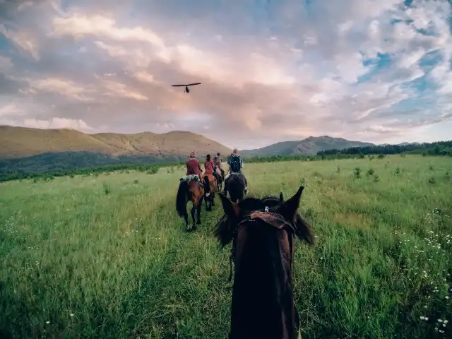 Horse Riding