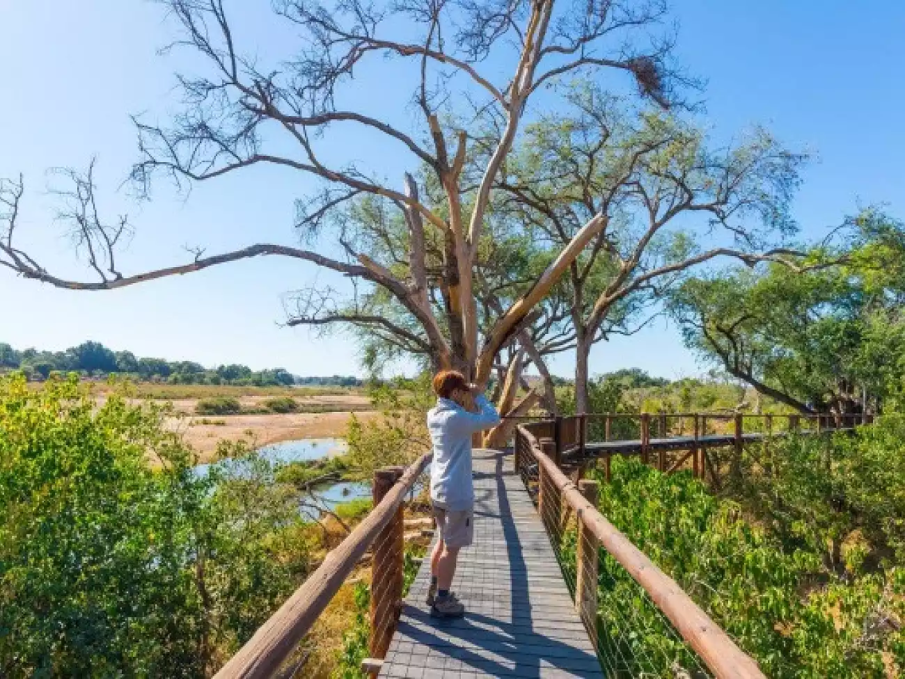 Hiking in Mpumalanga 