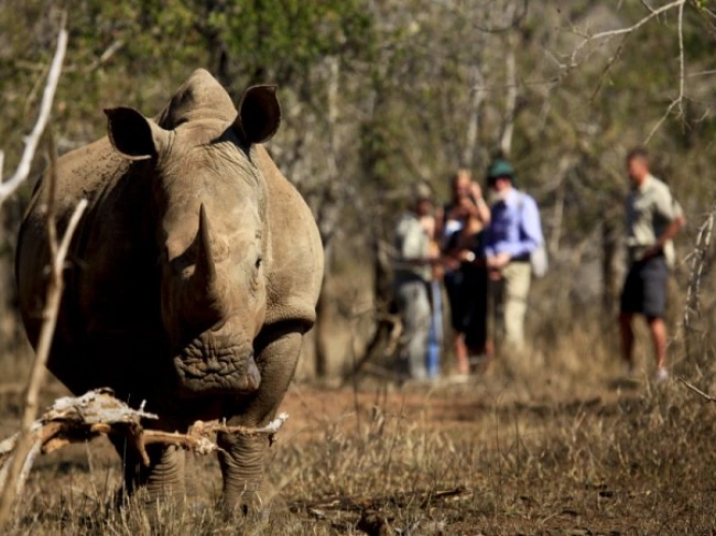 {def_description_image_text}