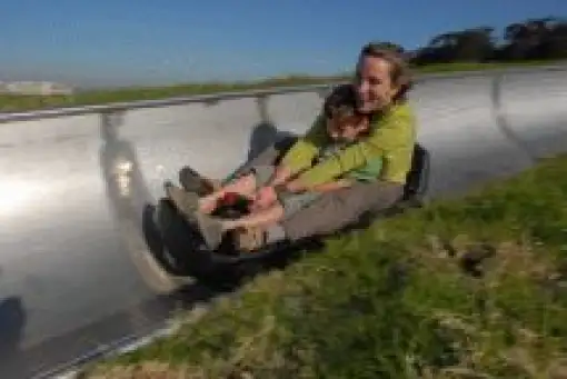 Cool-Runnings - Tobogganing