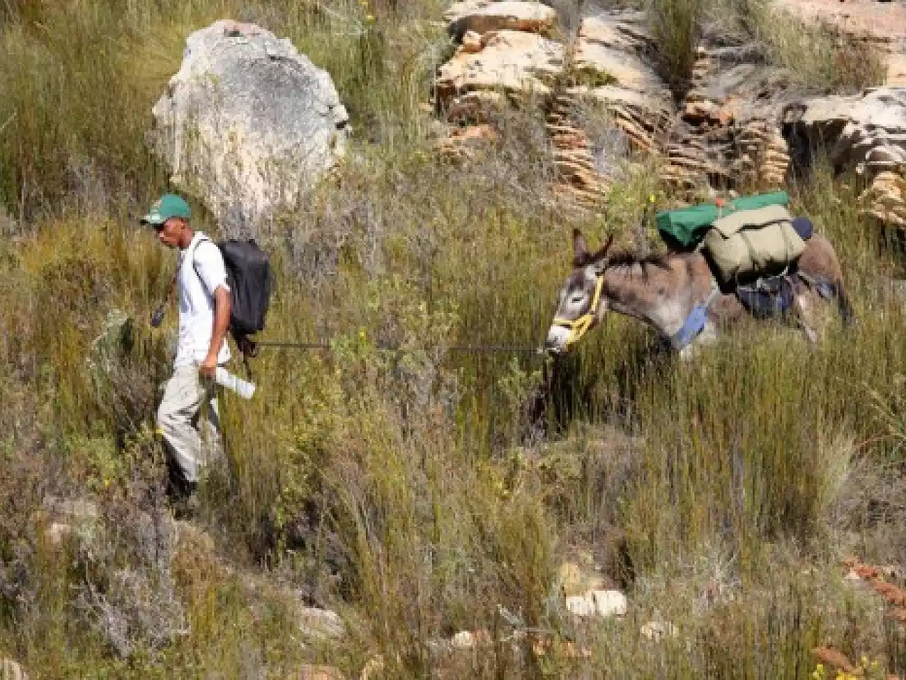 Hiking in the Little Karoo