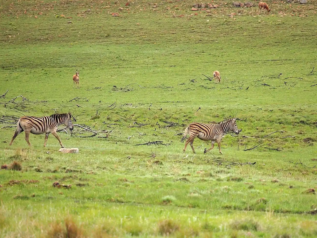 E-Dirt Bike Tours in Mpumalanga
