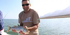 Tiger Fishing