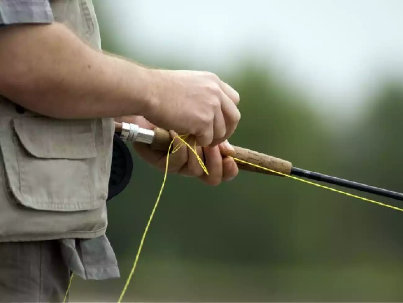Fly Fishing in Port Elizabeth 