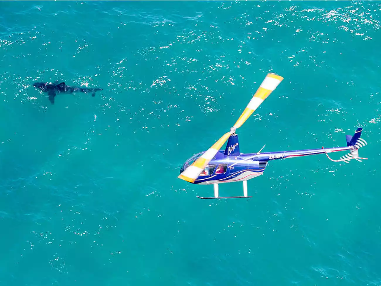 Scenic Flights in Mossel Bay