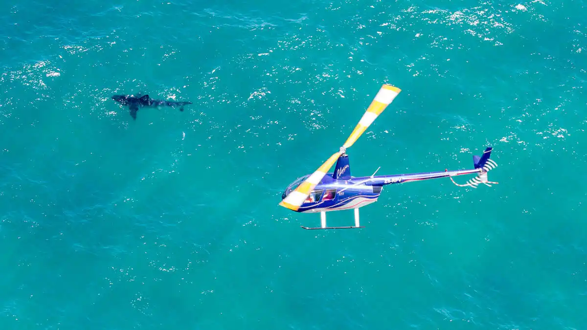 Scenic Flights